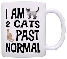 Load image into Gallery viewer, Cat Lover Gifts I Am 2 Cats Past Normal Crazy Cat Lady Gag Coffee Mug Tea Cup