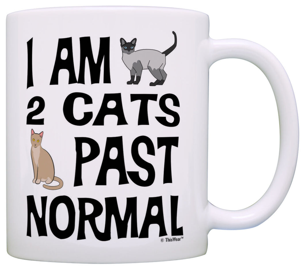 Cat Lover Gifts I Am 2 Cats Past Normal Crazy Cat Lady Gag Coffee Mug Tea Cup