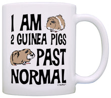 Load image into Gallery viewer, Guinea Pig Lover Gifts I Am 2 Guinea Pigs Past Normal Coffee Mug Tea Cup